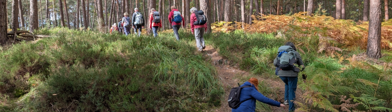 PXL_20251015_105333653