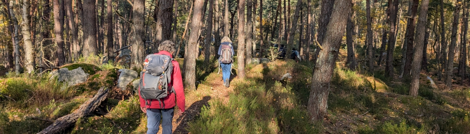 PXL_20251105_091314974.MP