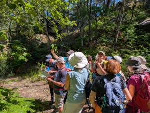 PXL_20260527_095459428.MP